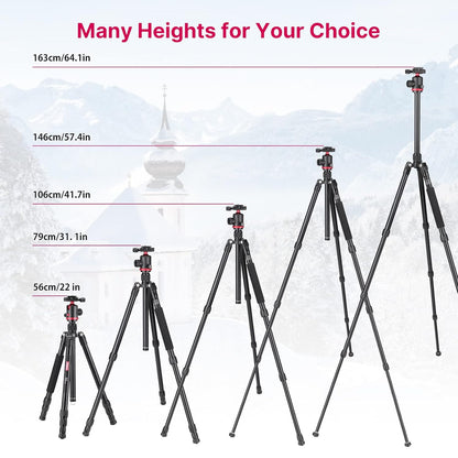 ULANZI MT-51 Heavy Duty Tripod â€“ 360Â° Ball Head, Adjustable Height, Black
